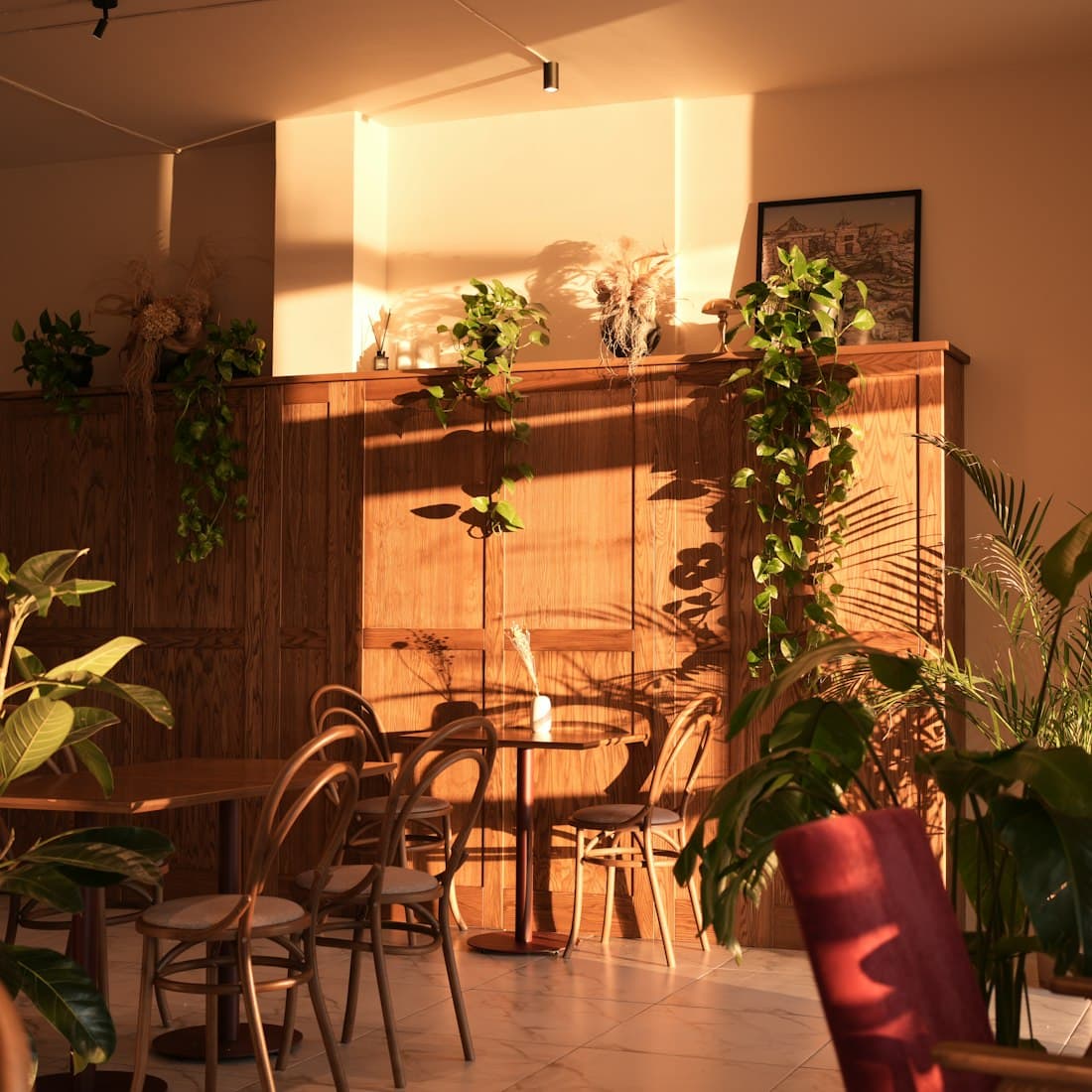 Warm café interior with plants
